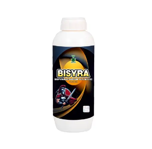 Bisyra