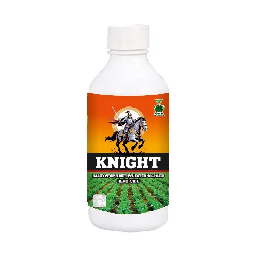 Knight