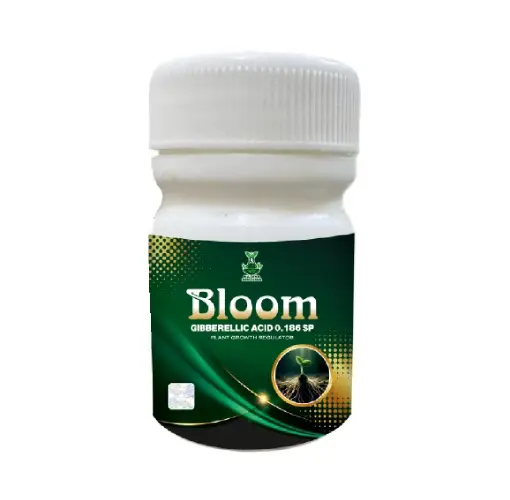 bloom